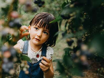 A little girl reaching for a branch. 