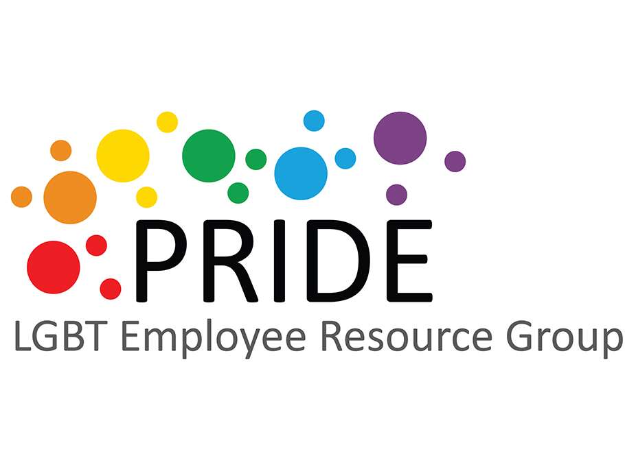 pride logo