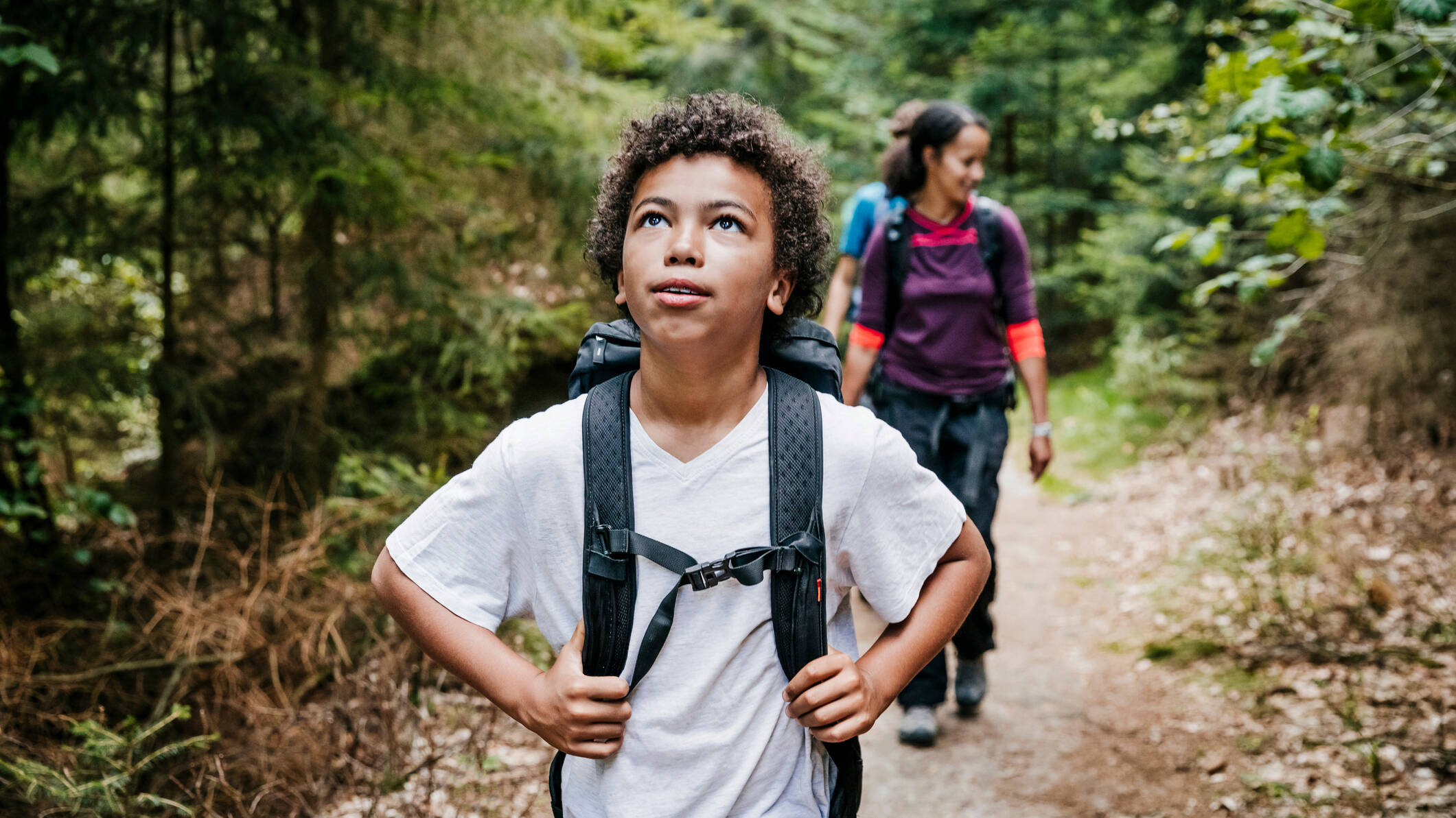 boy hiking in the forest looking up to trees and sky