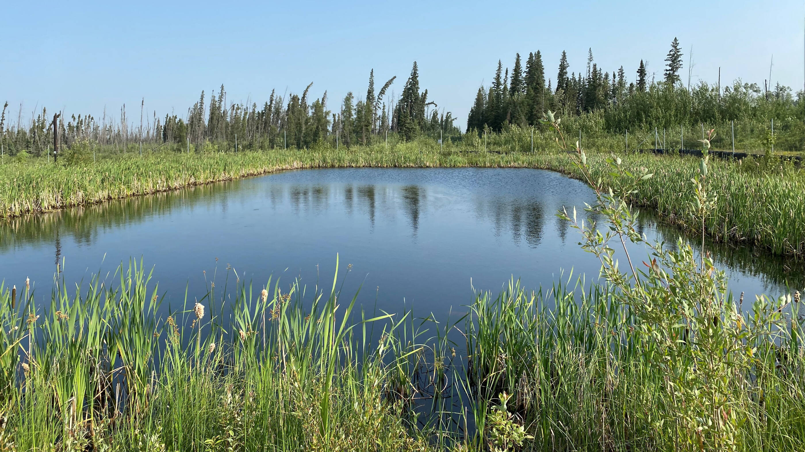 constructed wetland / holding pond