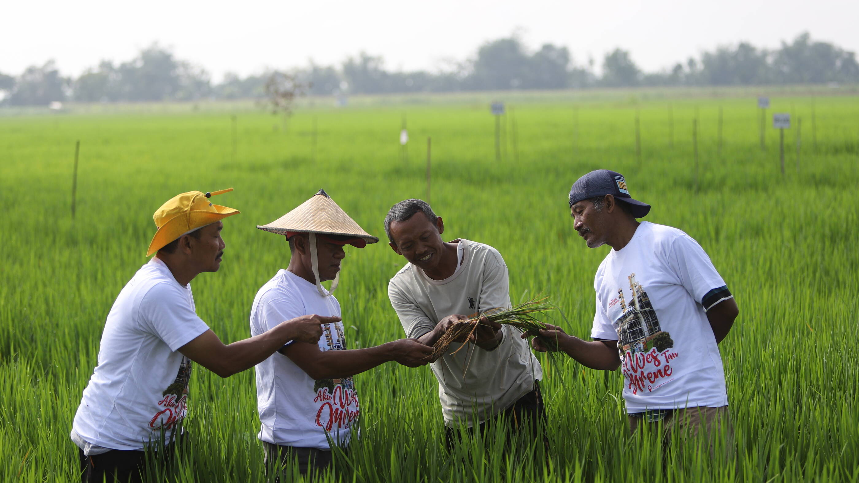 Farmer Education  as Community Illustration