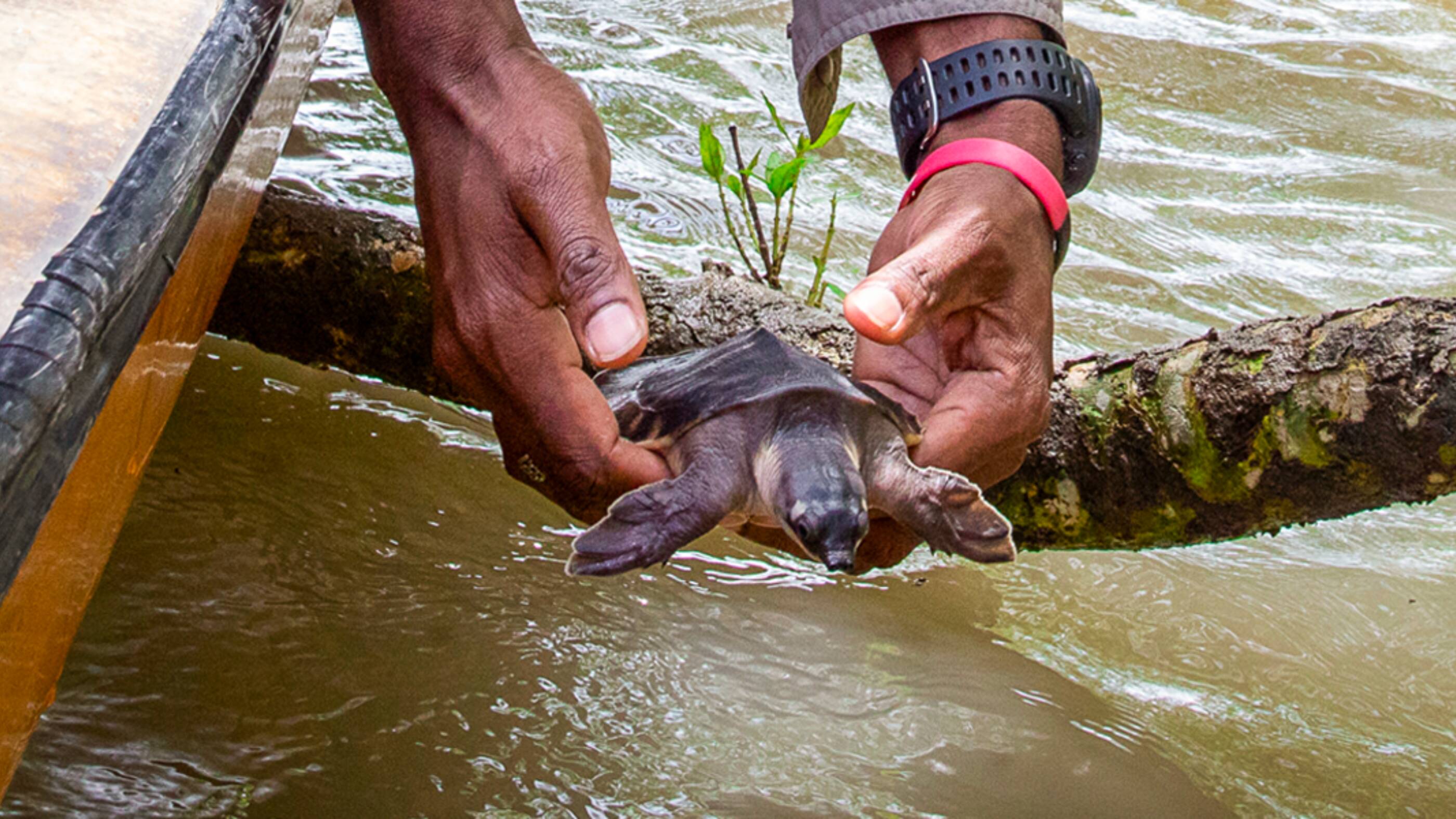 Our diverse business portfolio includes projects in remote and sensitive environments, such as deep water and areas of high biodiversity.